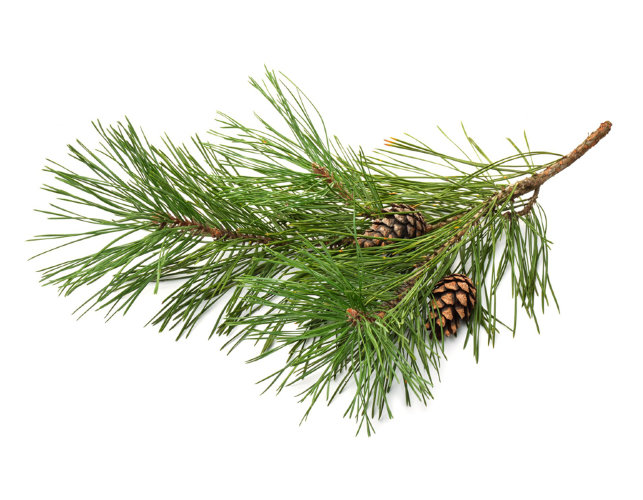 Альфа пинен натуральный  